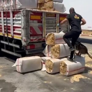 73 ilde uyusturucu operasyonu bin 695 kisi yakalandi XyQdjp17