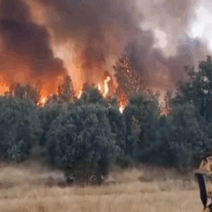 ispanyada orman yanginlarinda hayatini kaybedenlerin sayisi 3e yukseldi LE6iIL4W