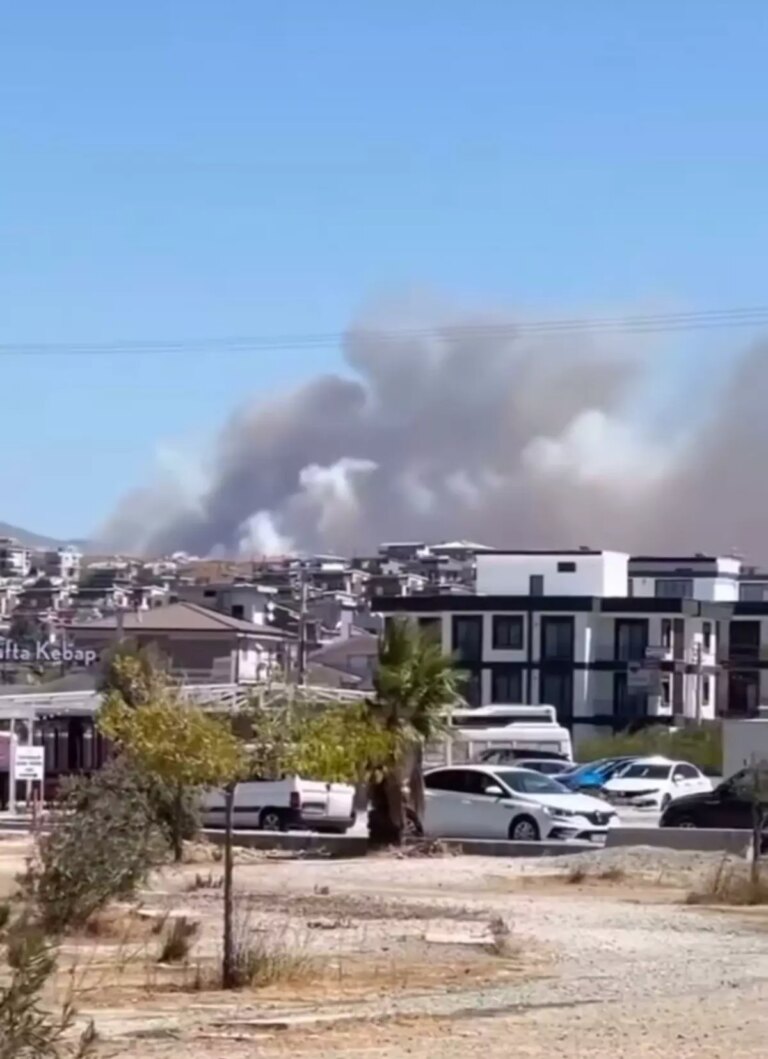 seferihisarda orman yangini dHiZBkve