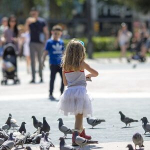 ulkede guvercine yem atmak yasaklandi OCCEnJrR