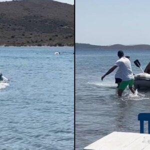 yuruyerek gidilen adada can pazari suruklenen cocugu kurtardi kendi oldu UiLh2Mz9