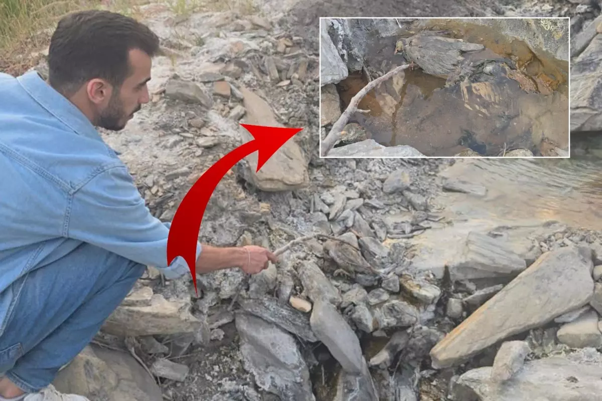 hakkaride gizemli vadi insanlara sifa hayvanlara olum getiriyor TnaQCiEu