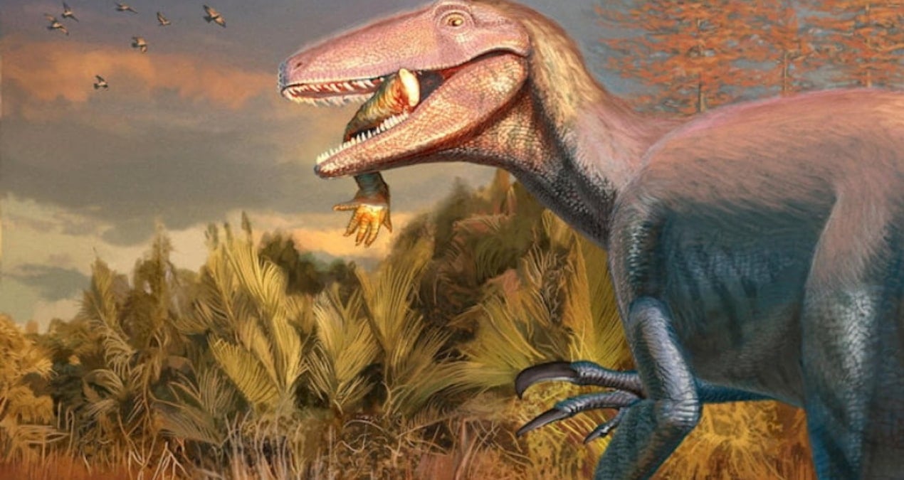 jurassic park filmlerinden firlamis gibi yeni tur agzindaki son yemegi ile bulundu 6BO25J9J