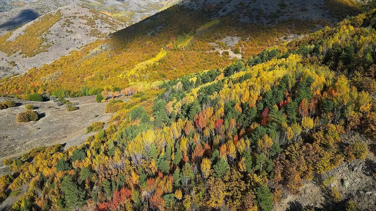 bayburtta sonbahar guzellikleri KyeDXs4D.jpg