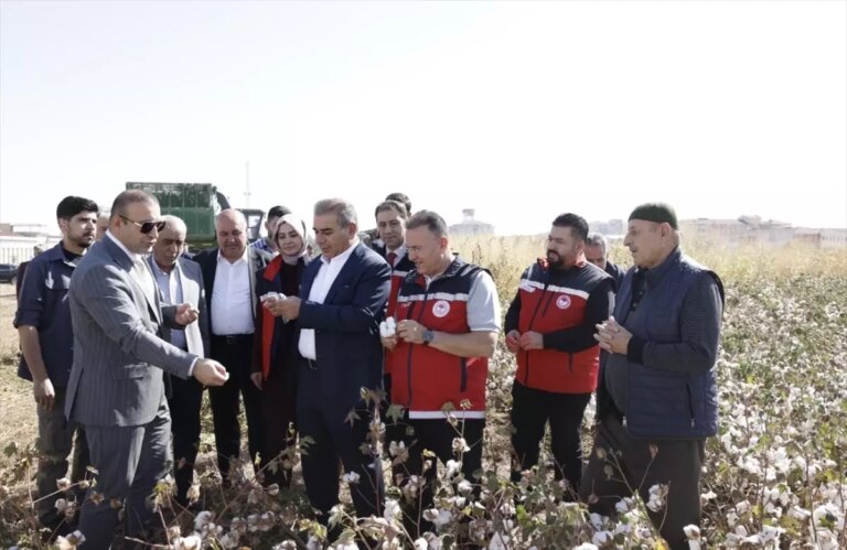 bismilde pamuk hasadi basladi M6n4il2m.jpg