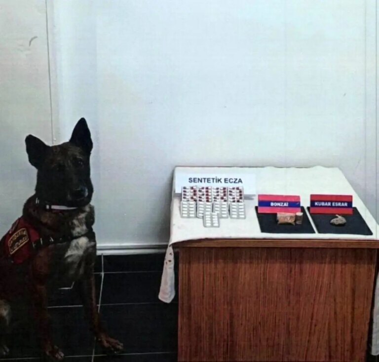 boluda uyusturucu operasyonu PwvgORFb