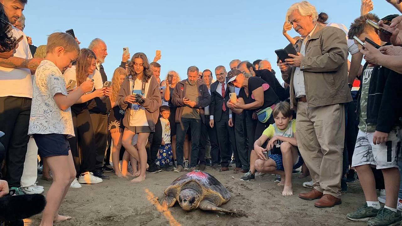 caretta caretta cumhuriyeti 5 bin kisi izledi MyBvIiKV.jpg