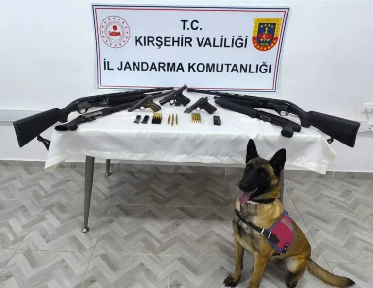 kirsehirde silah operasyonu 4 tufek ve 5 tabanca ele gecirildi Jq4eLEJD.jpg