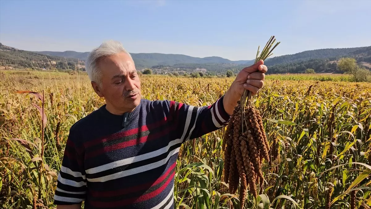 sindirgida daldari hasadi basladi QKHzyTd1.jpg