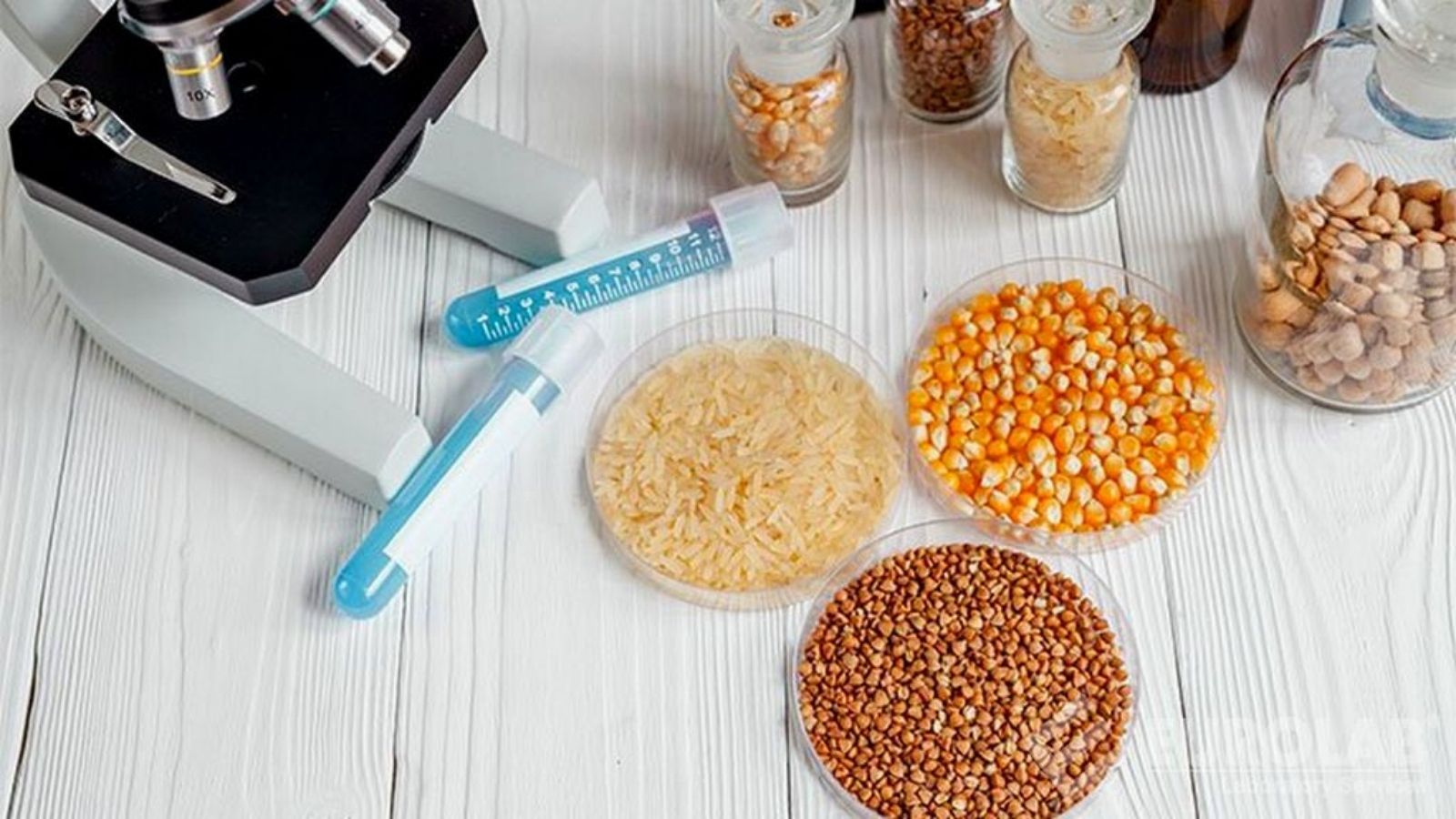 tmr ve kaba yemlerde yem analizi makinesi avantajlari J9X9LhSp