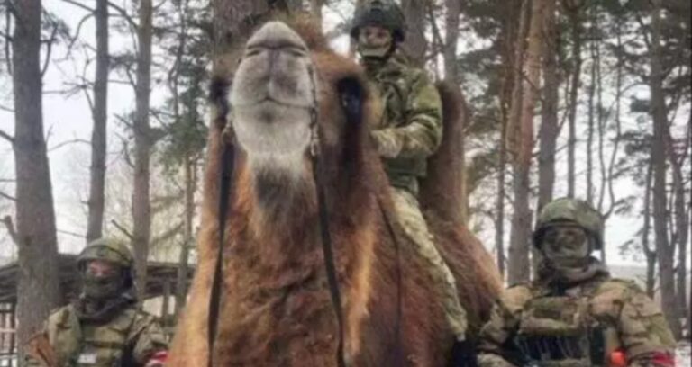 ukrayna gucleri rus ordusunun devesini ele gecirdi 84JKaCT2.jpg