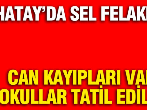 Suriye, YPG Üyesi 88 Kişiyi Serbest Bıraktı
